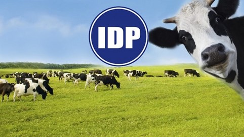 Sữa Quốc tế (IDP): Lãnh đạo bán sạch cổ phiếu ESOP giữa lúc công ty lên kế hoạch mua lại 5% vốn