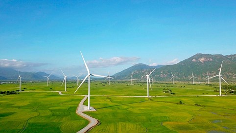 Điện Gia Lai (GEG) đặt mục tiêu lợi nhuận 777 tỷ đồng năm 2025 nhờ giá điện gió chuyển tiếp