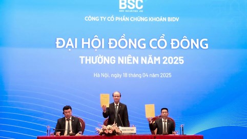 ĐHĐCĐ Chứng khoán BIDV (BSI): Mục tiêu lợi nhuận 2025 tăng trưởng gần 9%, thông qua chia cổ tức 10% bằng cổ phiếu
