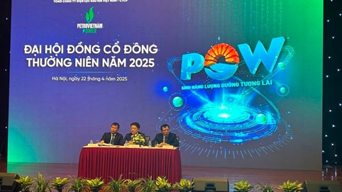 ĐHĐCĐ PV Power (POW) báo lãi 2024 vượt kế hoạch, đặt mục tiêu lợi nhuận 2025 thấp kỷ lục và không chia cổ tức
