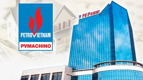 ĐHĐCĐ 2025 PVMachino (PVM): Chốt cổ tức 6% sau 'đấu tranh' của cổ đông; Loạt vấn đề mảng gạo, BĐS, nợ xấu bị chất vấn