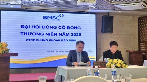 ĐHĐCĐ 2025: Chứng khoán Bảo Minh (BMS) đặt kế hoạch lãi tăng, trình cổ đông tăng vốn vượt 2.000 tỷ đồng