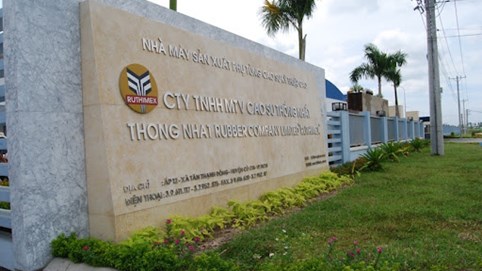 Cao su Thống Nhất (TNC) lãi quý I tăng 95% nhờ giá chuối