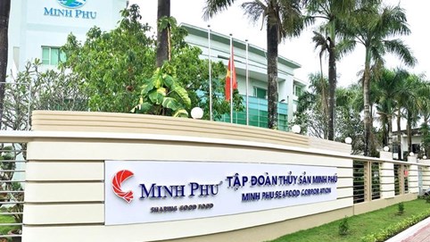 Thủy sản Minh Phú (MPC) có lãi trở lại sau hai quý thua lỗ