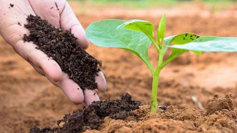 Doanh nghiệp ngành phân bón đối diện không ít trở ngại trong năm 2023