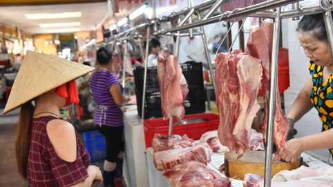 VCBS: Kỳ vọng giá thịt heo tăng, Dabaco tăng quy mô đàn, dự báo BAF giảm doanh thu