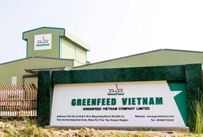 GreenFeed báo lãi hơn 2.100 tỷ đồng, vượt nhiều 'ông lớn' nông nghiệp