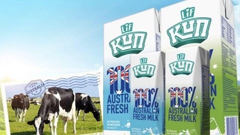 Sữa Quốc tế Lof (IDP) chi 144 tỷ đồng mua thêm 34% vốn công ty chăn nuôi bò Hồ Toản