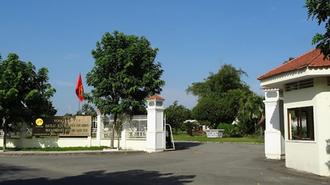 Tổng Công ty Sản xuất - Xuất nhập khẩu Bình Dương tiếp tục không chia cổ tức, kế hoạch doanh thu và lãi 2023 đều giảm