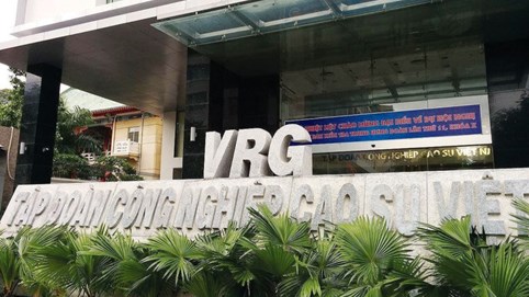 Tập đoàn Công nghiệp Cao su Việt Nam (GVR) tăng cổ tức 2024 lên 1.600 tỷ đồng, đặt mục tiêu lợi nhuận kỷ lục