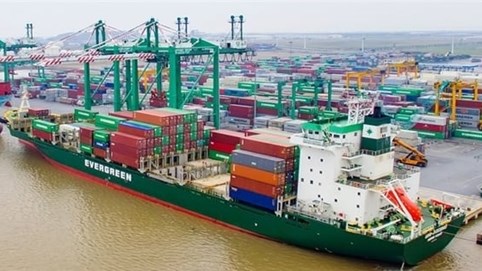 Viconship (VSC) dự kiến bán hơn 6,3 triệu cổ phiếu Cảng Xanh Vip (VGR)