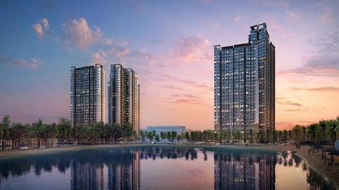 Tân Liên Phát Tân Cảng báo lỗ gần 400 tỷ năm 2024, lỗ lũy kế vượt 352 tỷ đồng