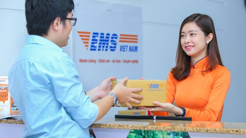 EMS dự kiến trả cổ tức tiền mặt tỷ lệ 10%