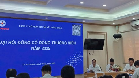 Tư vấn Xây dựng Điện 3 (TV3): Chốt quyền trả cổ tức 2024, lợi nhuận quý I/2025 tăng gấp 17 lần
