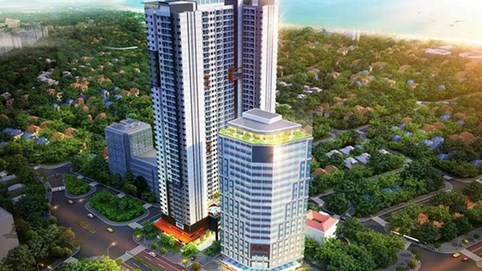 Đầu tư Việt Tâm chậm thanh toán gần 37 tỷ đồng phí quản lý trái phiếu