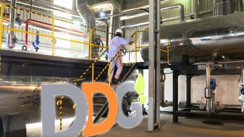 Đầu tư Công nghiệp Xuất nhập khẩu Đông Dương (DDG) có Chủ tịch mới từ Eagles Group, đặt mục tiêu lợi nhuận 12 tỷ đồng năm 2025