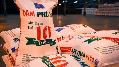 Phân bón và Hóa chất Dầu khí (DPM): Lãi ròng quý 2 tăng 75%, hoàn thành 95% kế hoạch lợi nhuận năm
