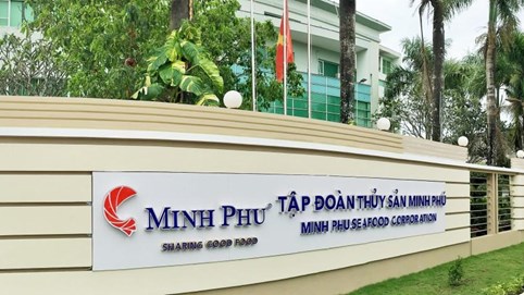 Minh Phú (MPC): Doanh thu giảm nhẹ, lợi nhuận quý II/2025 tăng gấp 4 lần