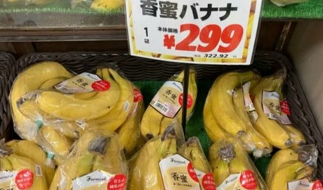 Thị phần chuối Việt Nam tại Nhật Bản tăng mạnh, cạnh tranh trực tiếp với sản phẩm từ Philippines