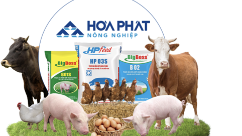 Lĩnh vực chăn nuôi của Hòa Phát (HPG) báo lãi tăng 135% nhờ giá trứng, sản lượng duy trì 1 triệu quả/ngày