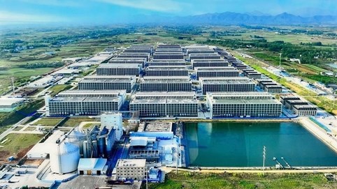 Mô hình nuôi heo nhiều tầng sắp xuất hiện tại Việt Nam: Cuộc đua của các 'ông lớn' nông nghiệp