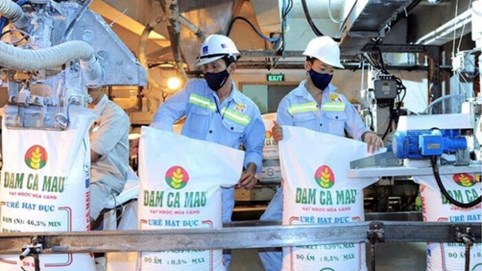 Lợi nhuận ngành phân bón bùng nổ: Đạm Cà Mau (DCM) và Đạm Phú Mỹ (DPM) lãi lớn, một doanh nghiệp lỗ nặng 270 tỷ