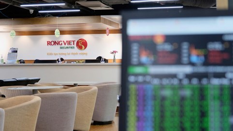 Rồng Việt (VDS) sắp phát hành 4,7 triệu cổ phiếu ESOP giữa lúc lợi nhuận giảm mạnh 97%