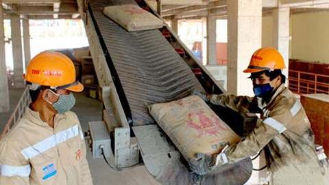 Xi măng Sông Lam nợ hơn 4,1 tỷ đồng tiền bảo hiểm của gần 1.300 lao động