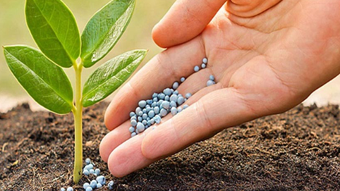 Ngành phân bón, hóa chất bùng nổ: Đạm Cà Mau, Đạm Phú Mỹ đã vượt xa kế hoạch lợi nhuận cả năm