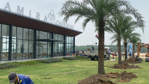 Chủ đầu tư Amira Chơn Thành: Nợ thuế hàng trăm tỷ, kinh doanh thua lỗ và dàn lãnh đạo liên tục thay đổi