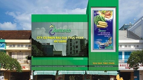 Antesco (ANT): Cổ đông lớn bán ra gần 10% vốn, lợi nhuận 6 tháng tăng 67%