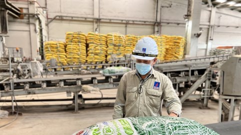Cảng Hải Phòng (PHP) sắp chi gần 200 tỷ đồng trả cổ tức tiền mặt năm 2024 Cảng Hải Phòng (PHP) sắp chi gần 200 tỷ đồng trả cổ tức tiền mặt năm 2024
