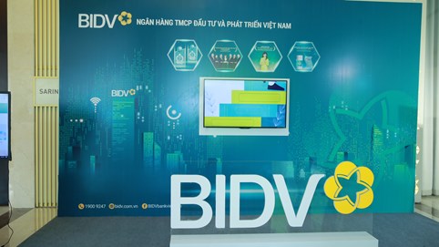 BIDV (BID): Nợ xấu tăng vọt lên 43.000 tỷ đồng, liên tục phát hành trái phiếu để củng cố vốn