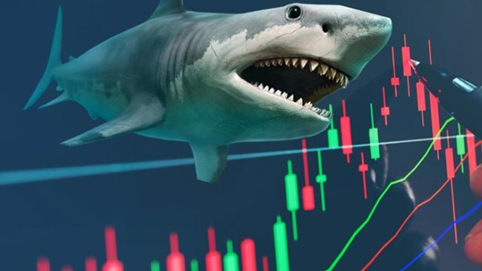 Cổ phiếu nào được 