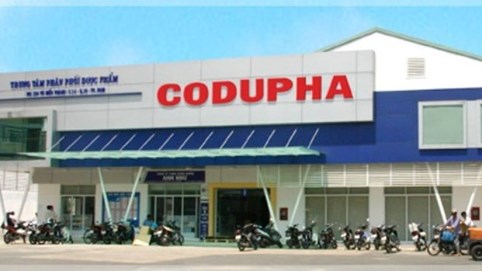 Codupha (CDP) 'thay máu' thượng tầng, Chủ tịch Hội đồng quản trị xin nghỉ hưu