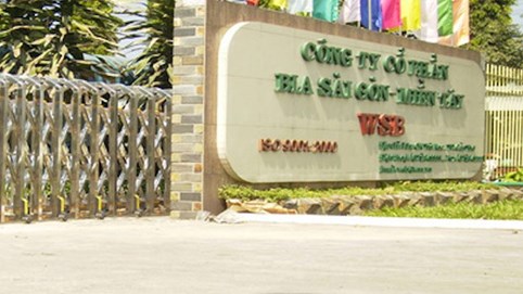 WSB dự kiến bầu thay thế 2 thành viên HĐQT, tân Tổng Giám đốc Sabeco là ứng cử viên