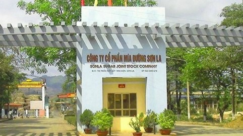 Vượt xa kế hoạch, Mía đường Sơn La (SLS) chốt chi gần 150 tỷ đồng trả cổ tức tỷ lệ 150%
