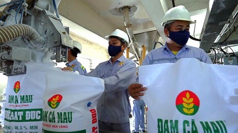 Đạm Cà Mau (DCM): Vượt 74% kế hoạch lợi nhuận cả năm chỉ sau 9 tháng