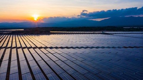 Điện Mặt trời Trung Nam Thuận Nam: Nợ phải trả vượt 9.000 tỷ đồng, lỗ lũy kế gần 723 tỷ