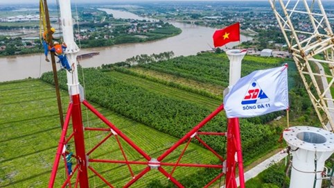 Chào bán giá 13.000 đồng/cp thành công, Sông Đà 11 (SJE) chứng kiến cổ đông lớn 'ế' nặng vì giá 77.000 đồng/cp