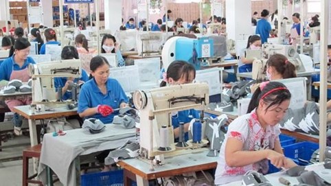 Kinh doanh giảm sút, May Hữu Nghị (HNI) bị phạt và truy thu thuế