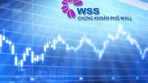 Chứng khoán Phố Wall (WSS) thoái toàn bộ 14,76% vốn tại Thực phẩm Hà Nội (HAF) khi HAF lỗ 5 năm liên tục