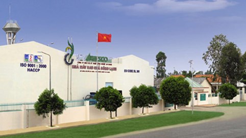 Lãi 9 tháng vượt 118% kế hoạch, 'vua' rau củ đông lạnh Antesco (ANT) nắm 521 tỷ tiền mặt, xúc tiến lên HOSE