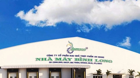 Rau quả Thực phẩm An Giang (ANT) hủy cổ tức 2024, quyết tâm chuyển sàn HoSE dù thanh khoản 'teo tóp'