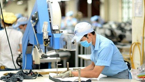 'Cơn mưa' cổ tức dệt may 2025: May Sông Hồng (MSH) chi 450 tỷ, TNG và Phong Phú ấn định ngày chốt quyền