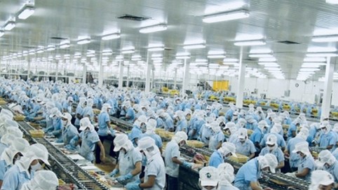 Lãi quý 3/2025 tăng gấp 3 lần, 'vua tôm' MPC lãi 223 tỷ, tiền gửi Vĩnh Hoàn (VHC) lên 4.400 tỷ