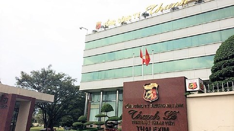 'Làm ngơ' sai sót 307 tỷ tại Thanh Lễ (TLP), hai kiểm toán viên Nhân Tâm Việt bị đình chỉ tư cách