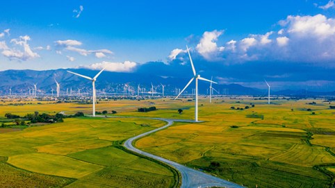 Dẫn đầu điện gió Đông Nam Á, Việt Nam chiếm 73% công suất điện gió