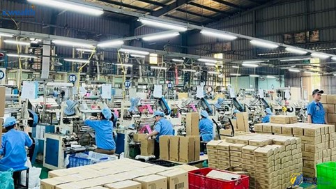 Nhựa sinh thái Việt Nam (ECO) chào bán 10 triệu cổ phiếu giá 10.000 đồng, lãi 9 tháng lập kỷ lục, xin ý kiến chuyển sàn HOSE