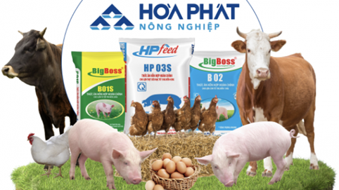 Lợi nhuận 6 tháng 2025 đạt 939 tỷ, Nông nghiệp Hòa Phát (HPA) nộp hồ sơ lên HOSE, hé lộ 10 năm "làm thật" mảng chăn nuôi